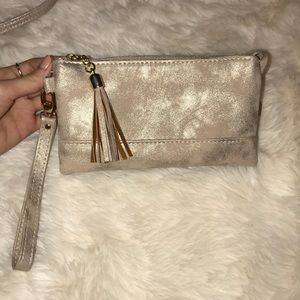 Shimmery Crossbody/wristlet